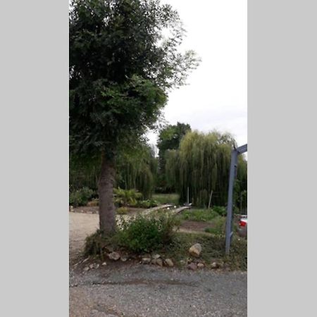 Entre Vignes Et Loire Blaison-Saint-Sulpice Exterior foto