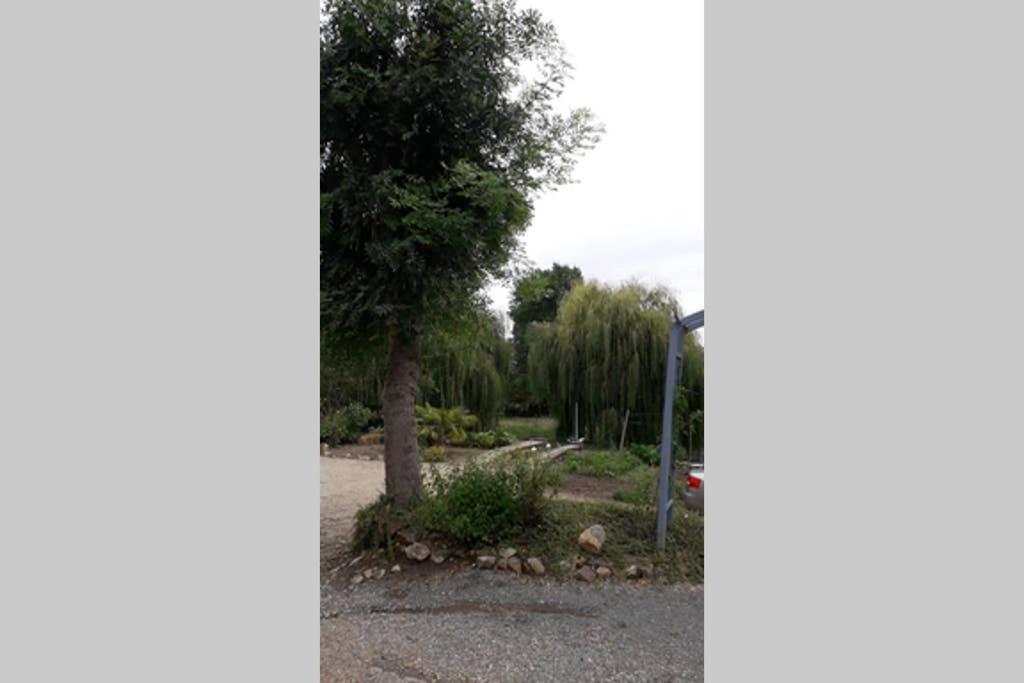 Entre Vignes Et Loire Blaison-Saint-Sulpice Exterior foto